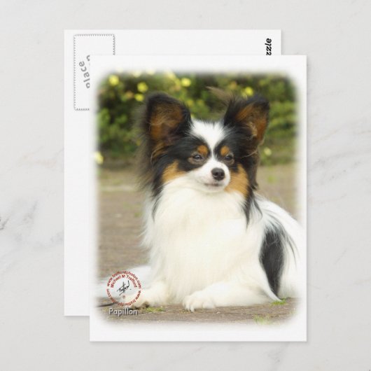 Papillon Postkarte (Vorne/Hinten)