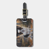 Papillon Pumpkins Halloween Beängstigend Gepäckanhänger (Vorderseite vertikal)