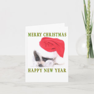 PAPILLON PUPPY CHRISTMAS CARD FEIERTAGSKARTE