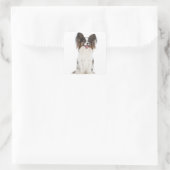 Papillon Puppy Dog - Liebe Welpen Quadratischer Aufkleber (Tasche)