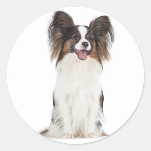 Papillon Puppy Dog - Liebe Welpen Runder Aufkleber (Vorderseite)