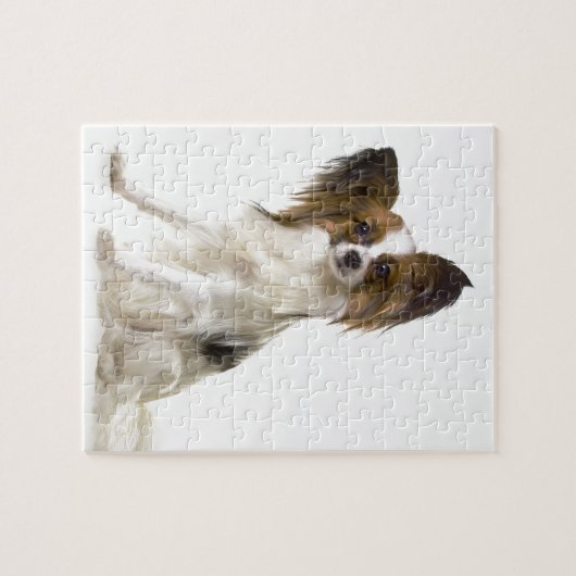 Papillon Puzzle (Horizontal)