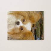 Papillon Puzzle (Horizontal)