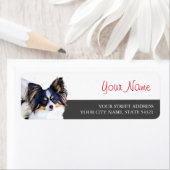 Papillon-Rückgabeadresse (Insitu)