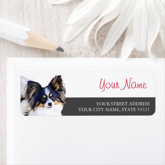 Papillon-Rückgabeadresse (Insitu)