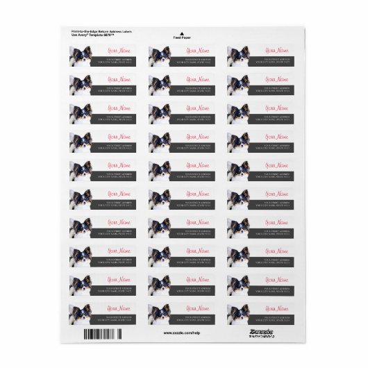 Papillon-Rückgabeadresse (Vorne)