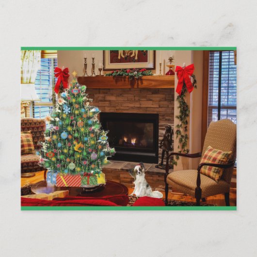 Papillon Santa Feiertagspostkarte (Vorderseite)