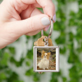 Papillon sitzend.png schlüsselanhänger (Hand)