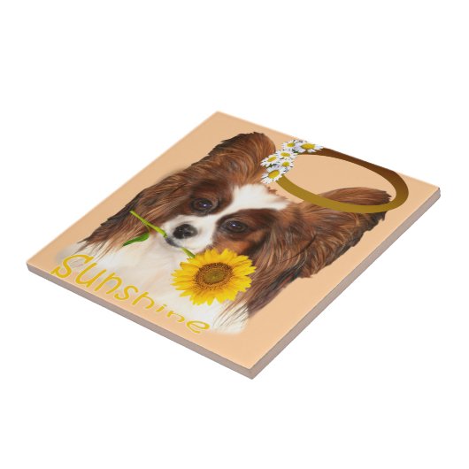 Papillon Sonnenschein Fliese (Seite)