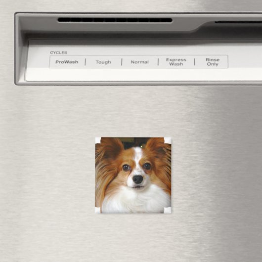 Papillon Square Magnet (In Situ (Geschirrspüler))