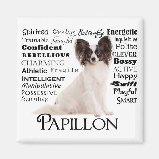 Papillon Traits Magnet (Vorne)