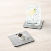 Papillon Untersetzer (Rechte Seite)