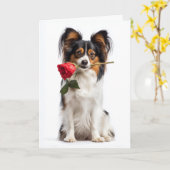 Papillon Valentine – Anmutige Liebe und Hingabe Karte (Gelbe Blume)