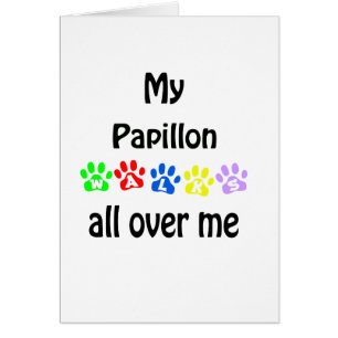 Papillon Walks Design