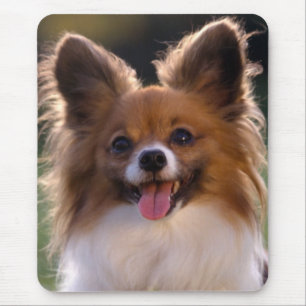 Papillon Welpe Mama Hund Lover Mama Welpen Mousepad