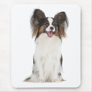 Papillon Welpe Mama Hund Lover Welpen Mama Mousepad