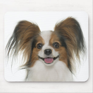 Papillon Welpe Mama Hund Lover Welpen Mama Mousepad