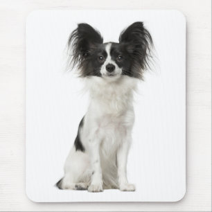 Papillon-Welpen-Mama-Hundefreundin Fell-Mama Mousepad