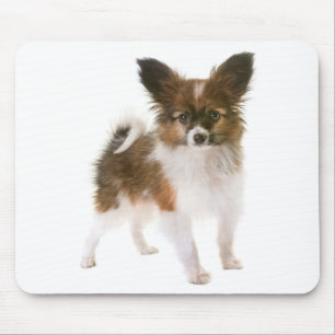 Papillon-Welpen-Mama-Hundefreundin Fell-Mama Mousepad