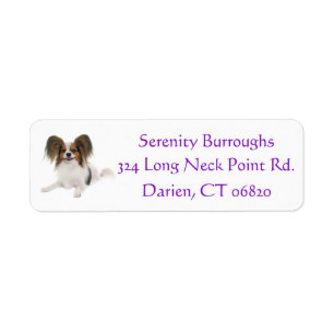 Papillon Welpenhund Lila