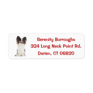 Papillon Welpenhund Rot