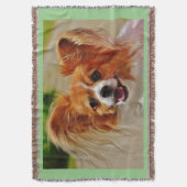 Papillon wirft eine Decke. Decke (Vorderseite Vertikal)