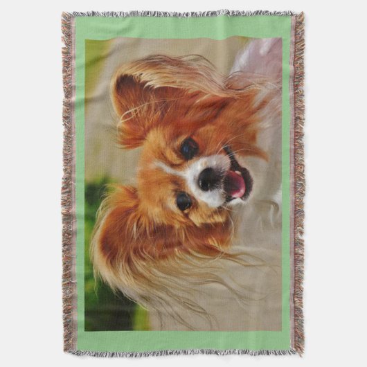 Papillon wirft eine Decke. Decke (Vorderseite Vertikal)