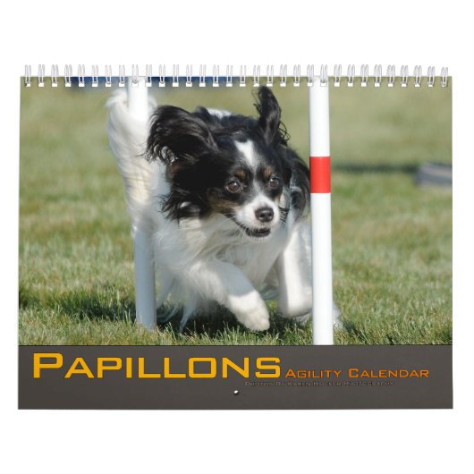 Papillons Agility-Kalender 2012 Kalender (Titelbild)