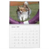 Papillons Agility-Kalender 2012 Kalender (Jan 2027)