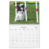 Papillons Agility-Wandkalender Kalender (Feb 2027)