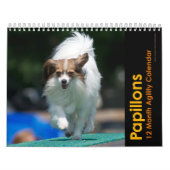 Papillons Agility-Wandkalender Kalender (Titelbild)