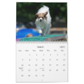 Papillons Agility-Wandkalender Kalender (Mär 2027)