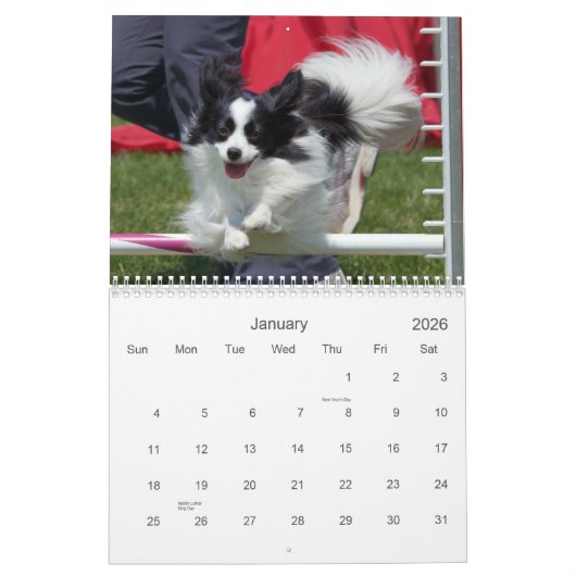 Papillons Agility-Wandkalender Kalender (Jan 2026)