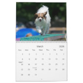 Papillons Agility-Wandkalender Kalender (Mär 2026)