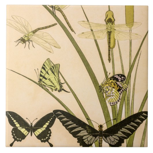 Papillons & Dragonfets von Maurice Verneuil Fliese (Vorderseite)