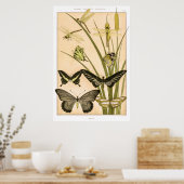 Papillons & Dragonfets von Maurice Verneuil Poster (Küche)