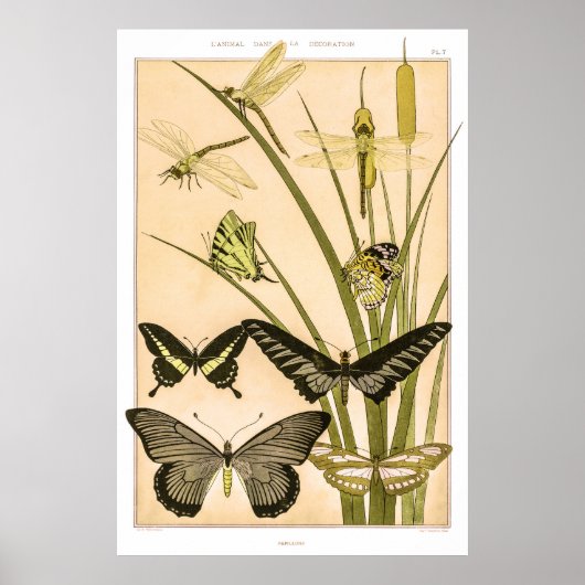 Papillons & Dragonfets von Maurice Verneuil Poster (Vorne)