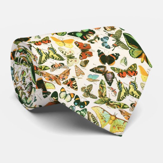 Papillons Krawatte (Gerollt)