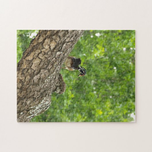Pappa Woodduck Puzzle (Horizontal)