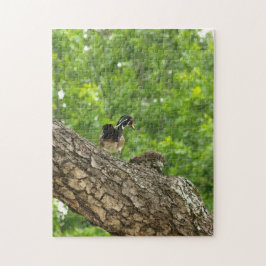 Pappa Woodduck Puzzle