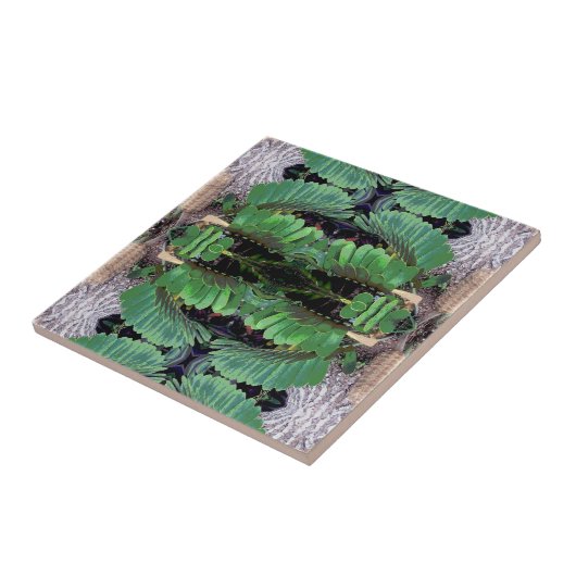 Pappe Palm Pattern Fliese (Seite)