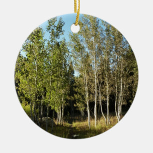 Pappelalleen entlang des Moose Ponds Trail im Gran Keramik Ornament
