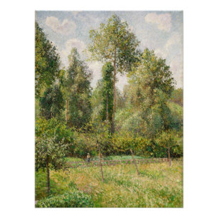 Pappeln, Éragny Camille Pissarro Poster