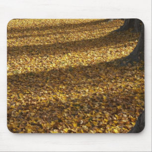 Pappeln im Herbst, Lake Wanaka, Otago, Mousepad