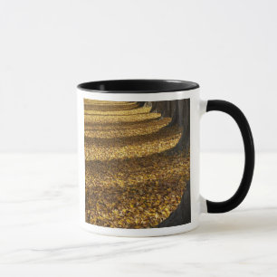 Pappeln im Herbst, Lake Wanaka, Otago, Tasse
