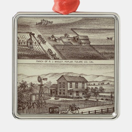 Pappelranchs Ornament Aus Metall (Vorne)