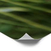 Papphühner Poster (Ecke)