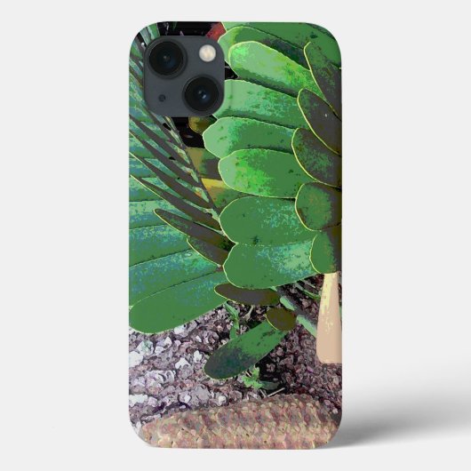 Papppalme (Pflanze der Pappe) Case-Mate iPhone Hülle (Rückseite)