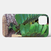 Papppalme (Pflanze der Pappe) Case-Mate iPhone Hülle (Rückseite (Horizontal))