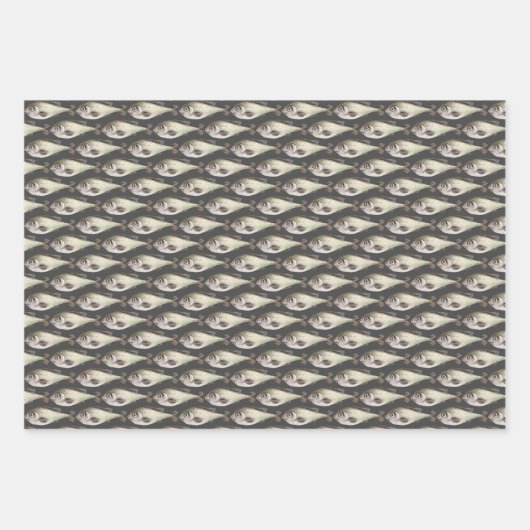 Papppapier für das Wrapping von Fischen — Flachbla Geschenkpapier Set (Vorderseite)
